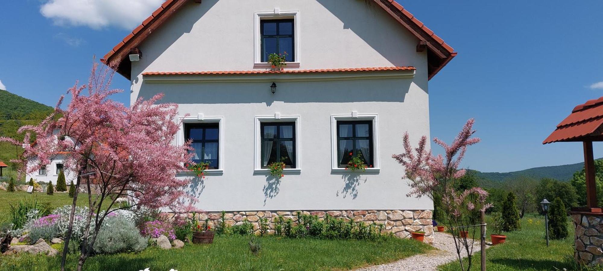 Pensiunea Kiralylany Vendeghaz Rimetea Dış mekan fotoğraf