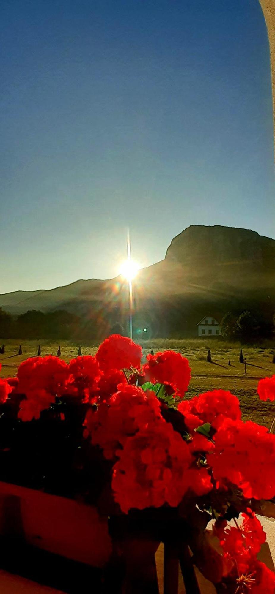 Pensiunea Kiralylany Vendeghaz Rimetea Dış mekan fotoğraf